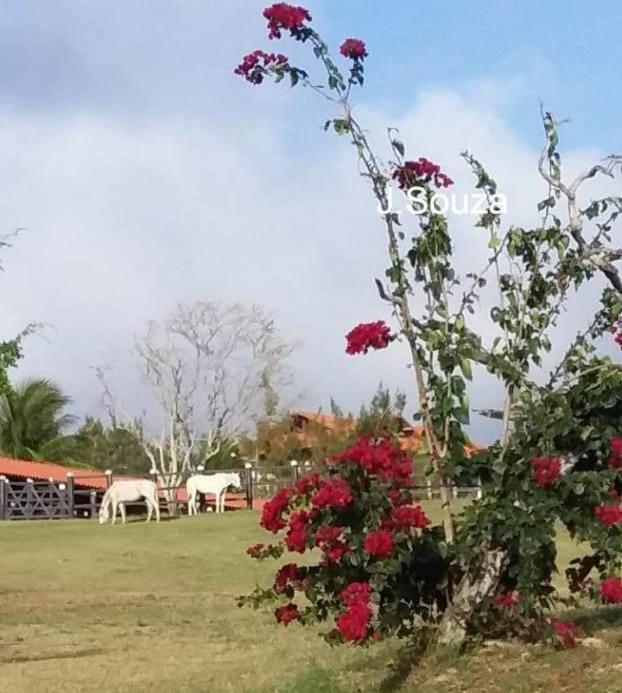Flat Condominio Hotel Fazenda Gravata Monte Castelo ภายนอก รูปภาพ